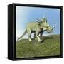 Styracosaurus Dinosaur-null-Framed Stretched Canvas