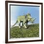 Styracosaurus Dinosaur-null-Framed Art Print