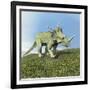 Styracosaurus Dinosaur-null-Framed Art Print