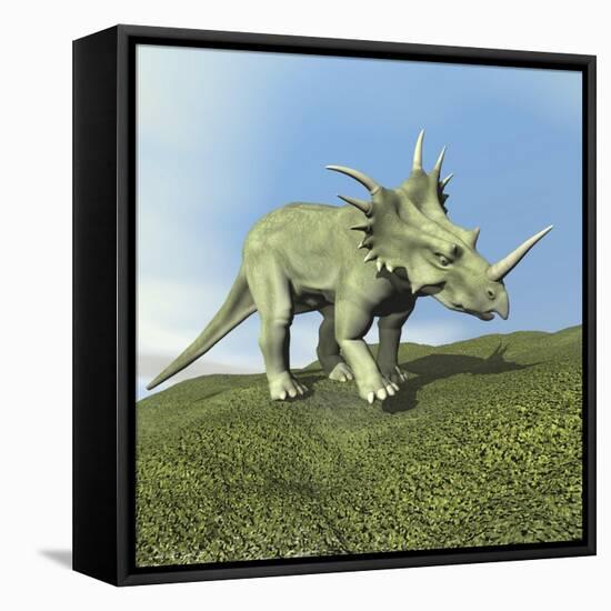 Styracosaurus Dinosaur-null-Framed Stretched Canvas