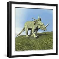 Styracosaurus Dinosaur-null-Framed Art Print