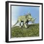 Styracosaurus Dinosaur-null-Framed Art Print