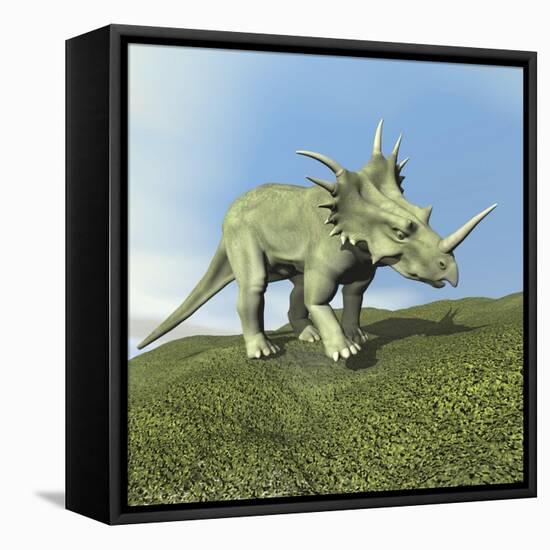 Styracosaurus Dinosaur-null-Framed Stretched Canvas