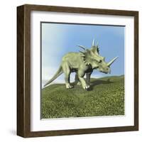 Styracosaurus Dinosaur-null-Framed Art Print