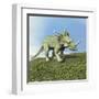 Styracosaurus Dinosaur-null-Framed Art Print