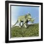 Styracosaurus Dinosaur-null-Framed Art Print