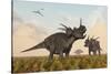 Styracosaurus Dinosaurs Calling Out to Each Other-Stocktrek Images-Stretched Canvas