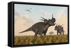 Styracosaurus Dinosaurs Calling Out to Each Other-Stocktrek Images-Framed Stretched Canvas