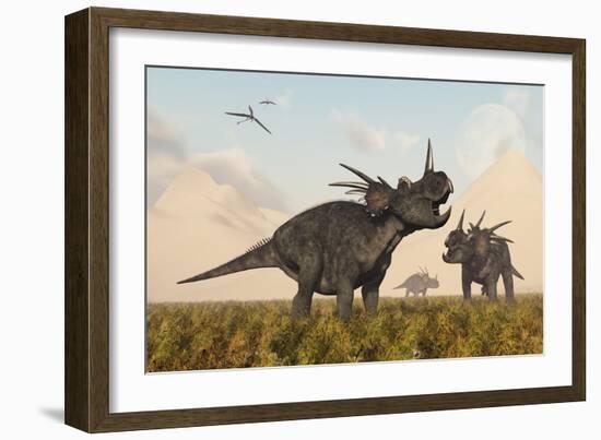 Styracosaurus Dinosaurs Calling Out to Each Other-Stocktrek Images-Framed Art Print