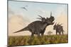 Styracosaurus Dinosaurs Calling Out to Each Other-Stocktrek Images-Mounted Art Print
