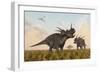 Styracosaurus Dinosaurs Calling Out to Each Other-Stocktrek Images-Framed Premium Giclee Print