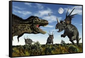 Styracosaurus Dinosaurs Confront a Tyrannosaurus Rex-null-Framed Stretched Canvas