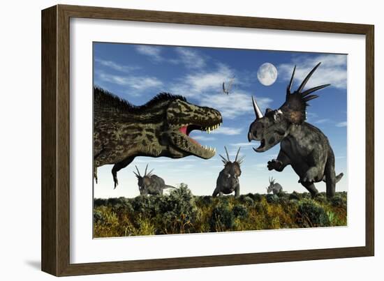 Styracosaurus Dinosaurs Confront a Tyrannosaurus Rex-null-Framed Art Print