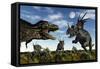 Styracosaurus Dinosaurs Confront a Tyrannosaurus Rex-null-Framed Stretched Canvas