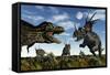 Styracosaurus Dinosaurs Confront a Tyrannosaurus Rex-null-Framed Stretched Canvas