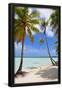 Essential Black