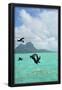 Essential Black