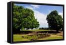 Framed Canvas