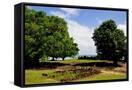Canvas Black