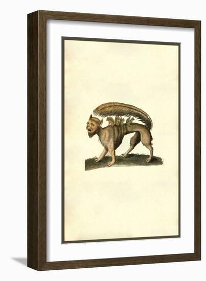 Su-Ulisse Aldrovandi-Framed Art Print