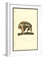 Su-Ulisse Aldrovandi-Framed Art Print