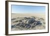 Sua Pan and Rocks of Kubu Island, Botswana-Paul Souders-Framed Photographic Print