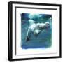 Sub Aqua, 2015-Mark Adlington-Framed Giclee Print