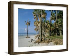 Sub-Tropical Forest and Coastline, Hunting Island State Park, South Carolina, USA-Duncan Maxwell-Framed Photographic Print