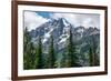Subalpine fir, Grand Tetons, Grand Teton National Park, Wyoming, USA-Roddy Scheer-Framed Photographic Print