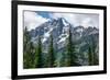 Subalpine fir, Grand Tetons, Grand Teton National Park, Wyoming, USA-Roddy Scheer-Framed Photographic Print