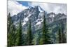 Subalpine fir, Grand Tetons, Grand Teton National Park, Wyoming, USA-Roddy Scheer-Mounted Photographic Print