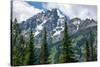 Subalpine fir, Grand Tetons, Grand Teton National Park, Wyoming, USA-Roddy Scheer-Stretched Canvas