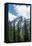 Subalpine fir, Grand Tetons, Grand Teton National Park, Wyoming, USA-Roddy Scheer-Framed Stretched Canvas