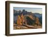 Subalpine Larches autumn color at Cutthroat Pass. North Cascades, Washington State-Alan Majchrowicz-Framed Photographic Print