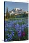 Subalpine Paintbrush and Lupine Wildflowers and Mt. Rainier at Mazama Ridge, Paradise Area-Gary Luhm-Stretched Canvas