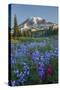 Subalpine Paintbrush and Lupine Wildflowers and Mt. Rainier at Mazama Ridge, Paradise Area-Gary Luhm-Stretched Canvas