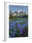 Subalpine Paintbrush and Lupine Wildflowers and Mt. Rainier at Mazama Ridge, Paradise Area-Gary Luhm-Framed Photographic Print