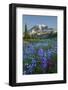 Subalpine Paintbrush and Lupine Wildflowers and Mt. Rainier at Mazama Ridge, Paradise Area-Gary Luhm-Framed Photographic Print