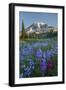 Subalpine Paintbrush and Lupine Wildflowers and Mt. Rainier at Mazama Ridge, Paradise Area-Gary Luhm-Framed Photographic Print