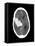 Subarachnoid Haemorrhage, MRI Scan-Du Cane Medical-Framed Stretched Canvas