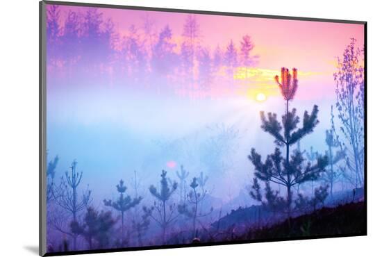 Photographic Print, , large