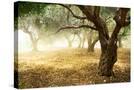 Stretched Canvas