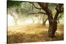 Stretched Canvas