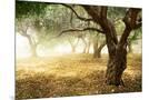 Wood Mount