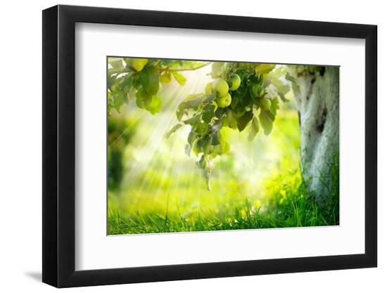 Premium Photographic Print, , large