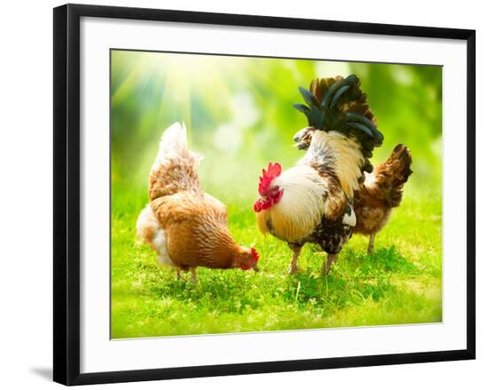 Premium Photographic Print, , large