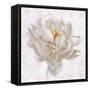 Sublime Peony I Light-Wellington Studio-Framed Stretched Canvas