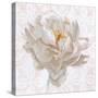 Sublime Peony I Light-Wellington Studio-Stretched Canvas