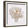 Sublime Peony I Light-Wellington Studio-Framed Art Print