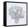 Sublime Peony I-Wellington Studio-Framed Stretched Canvas